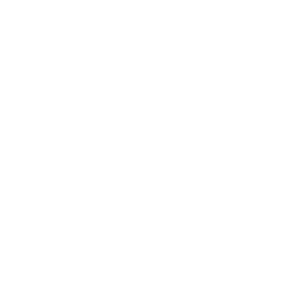 Rena Lange transparent