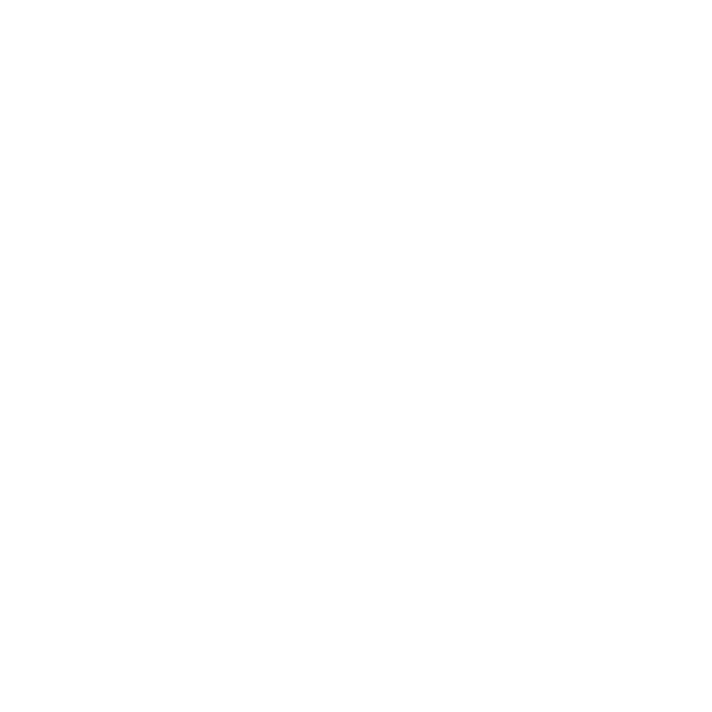 The Noble World transparent